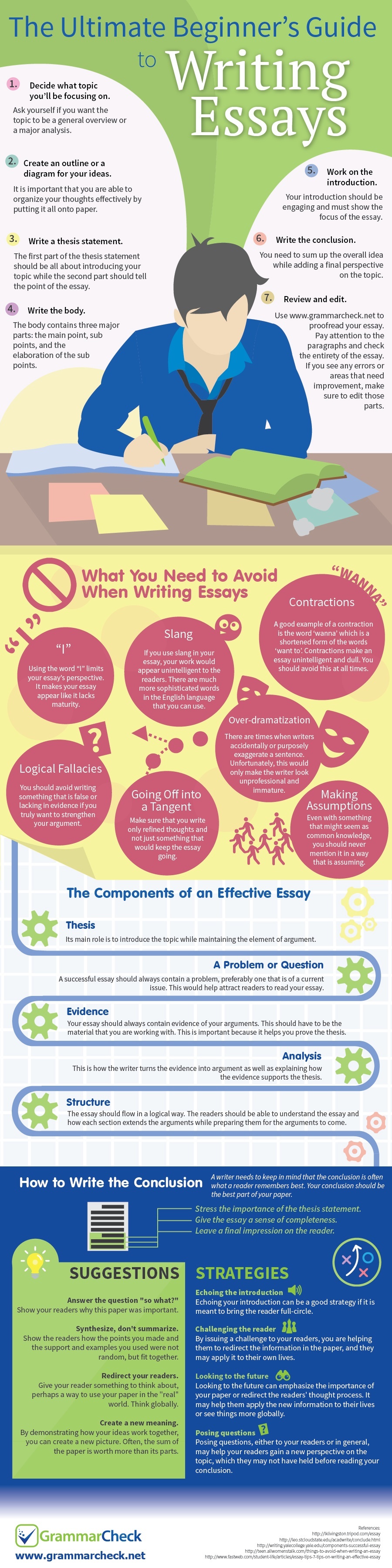 The Ultimate Beginner's Guide to Writing Essays (Infographic)